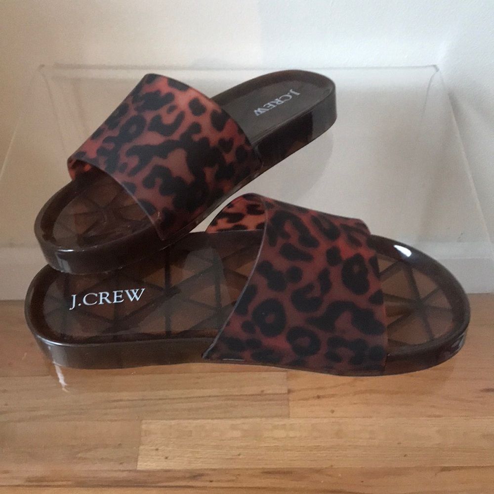 Tortoise pool slides j crew